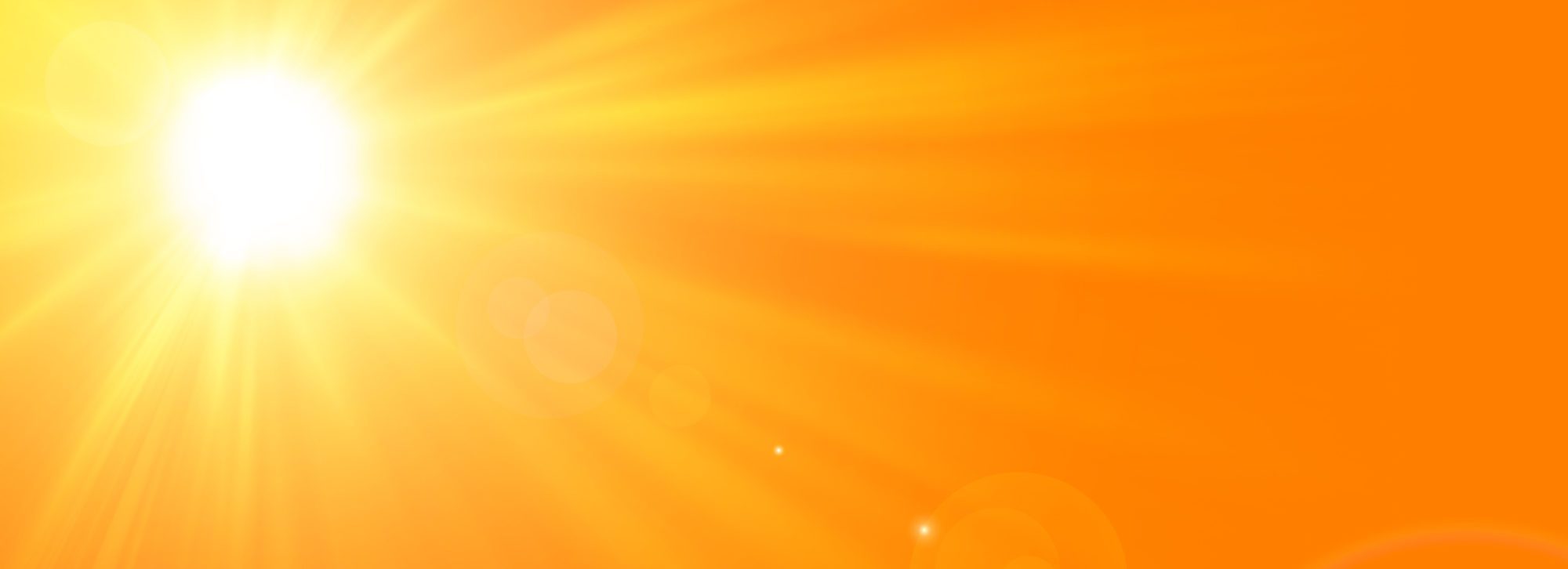 How to Protect Your Garage Door from Summer Heat