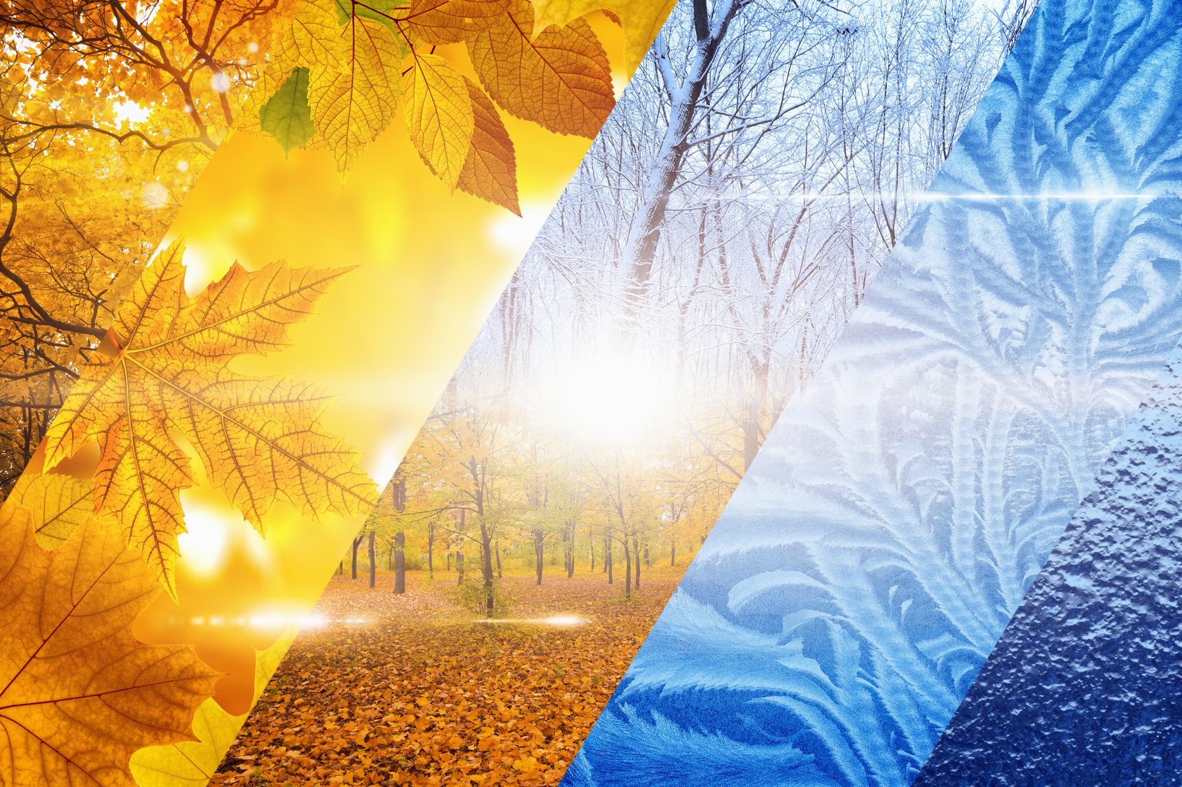 What Warming Temperatures Mean for Your Garage Door