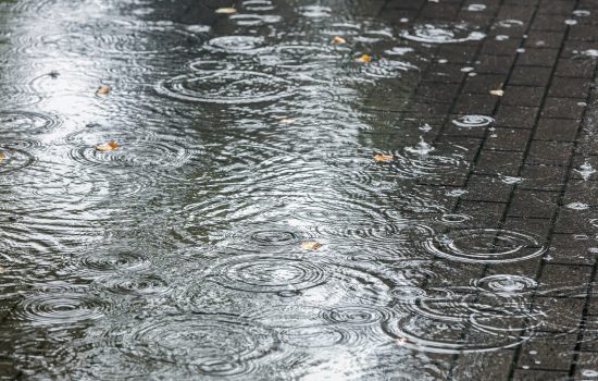 How Can I Prepare My Garage for the Rainy Season?
